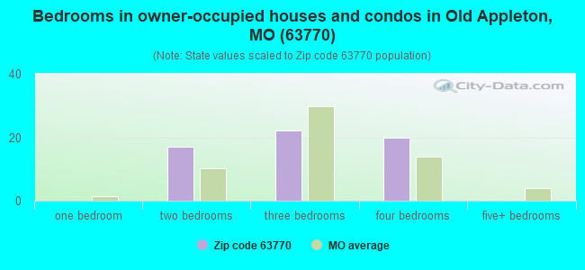 Bedrooms in owner-occupied houses and condos in Old Appleton, MO (63770) 