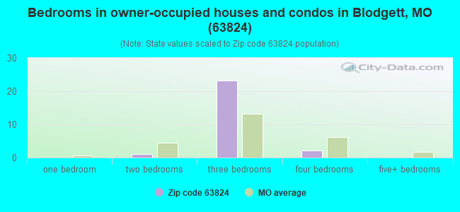 Bedrooms in owner-occupied houses and condos in Blodgett, MO (63824) 