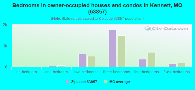 Bedrooms in owner-occupied houses and condos in Kennett, MO (63857) 