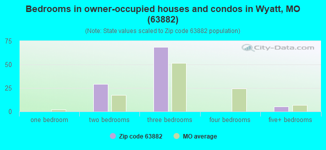 Bedrooms in owner-occupied houses and condos in Wyatt, MO (63882) 