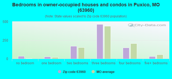 Bedrooms in owner-occupied houses and condos in Puxico, MO (63960) 