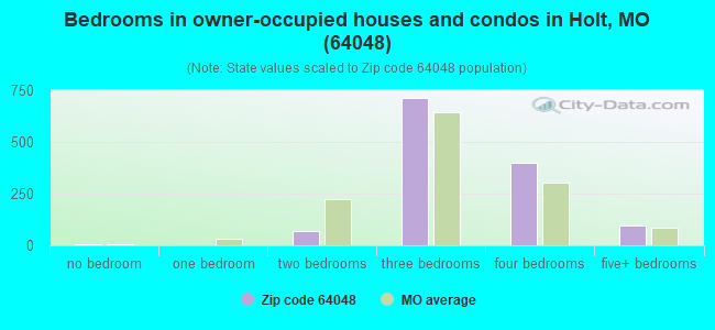 Bedrooms in owner-occupied houses and condos in Holt, MO (64048) 