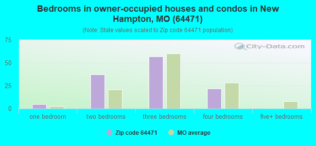 Bedrooms in owner-occupied houses and condos in New Hampton, MO (64471) 