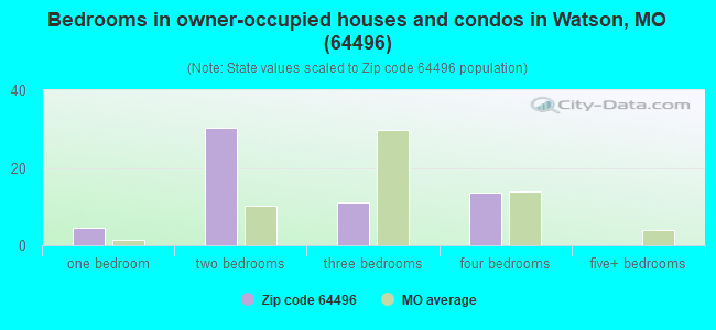 Bedrooms in owner-occupied houses and condos in Watson, MO (64496) 