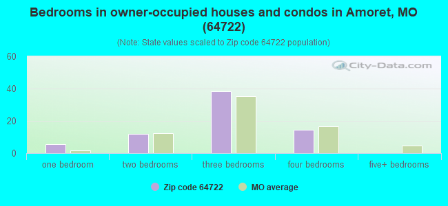 Bedrooms in owner-occupied houses and condos in Amoret, MO (64722) 