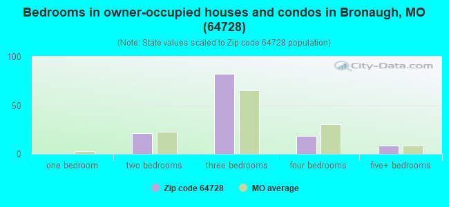 Bedrooms in owner-occupied houses and condos in Bronaugh, MO (64728) 