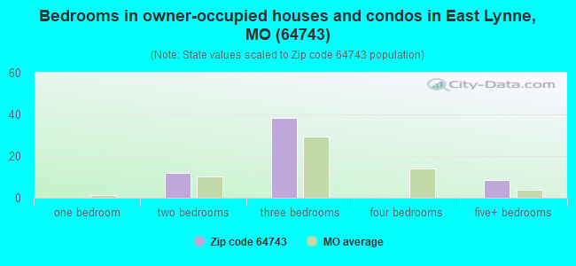 Bedrooms in owner-occupied houses and condos in East Lynne, MO (64743) 