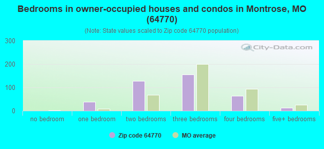 Bedrooms in owner-occupied houses and condos in Montrose, MO (64770) 