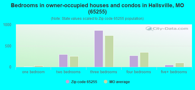 Bedrooms in owner-occupied houses and condos in Hallsville, MO (65255) 