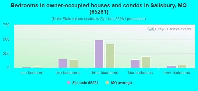 Bedrooms in owner-occupied houses and condos in Salisbury, MO (65281) 