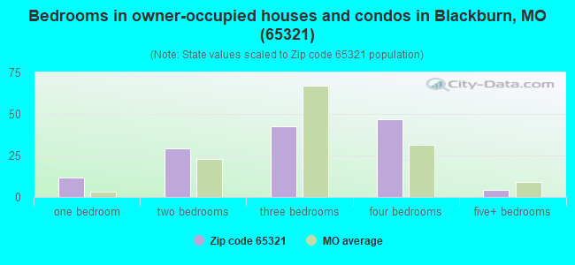 Bedrooms in owner-occupied houses and condos in Blackburn, MO (65321) 