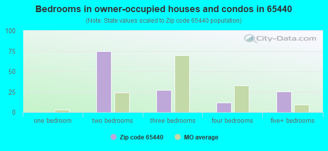 Bedrooms in owner-occupied houses and condos in 65440 