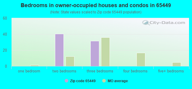 Bedrooms in owner-occupied houses and condos in 65449 