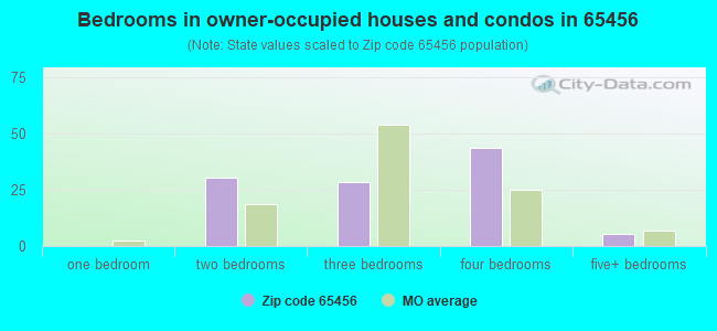 Bedrooms in owner-occupied houses and condos in 65456 