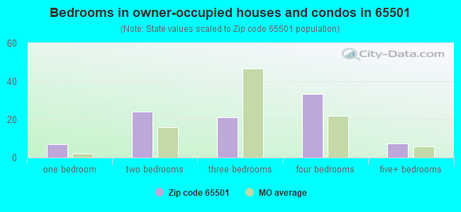 Bedrooms in owner-occupied houses and condos in 65501 