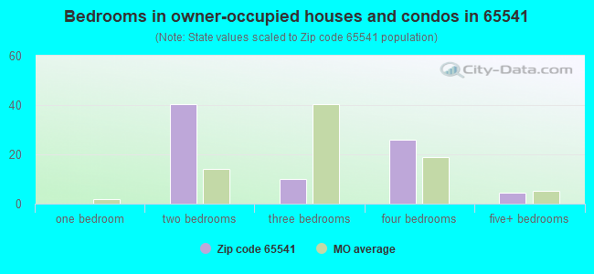 Bedrooms in owner-occupied houses and condos in 65541 