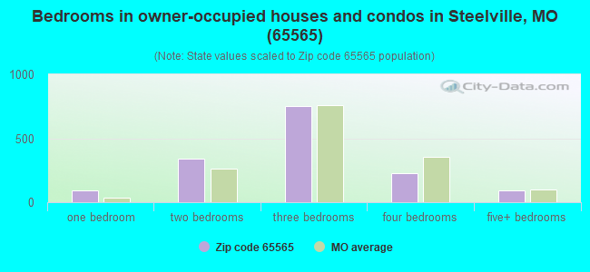 Bedrooms in owner-occupied houses and condos in Steelville, MO (65565) 