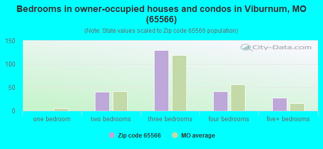 Bedrooms in owner-occupied houses and condos in Viburnum, MO (65566) 