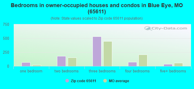 Bedrooms in owner-occupied houses and condos in Blue Eye, MO (65611) 