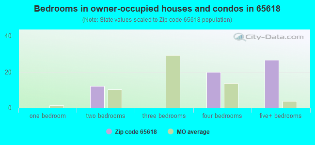 Bedrooms in owner-occupied houses and condos in 65618 