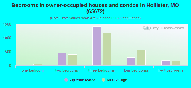 Bedrooms in owner-occupied houses and condos in Hollister, MO (65672) 