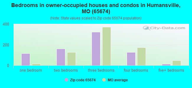 Bedrooms in owner-occupied houses and condos in Humansville, MO (65674) 