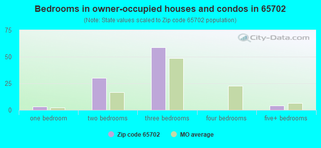 Bedrooms in owner-occupied houses and condos in 65702 
