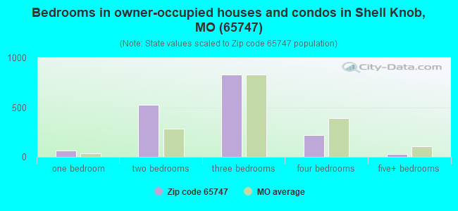 Bedrooms in owner-occupied houses and condos in Shell Knob, MO (65747) 