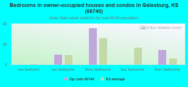 Bedrooms in owner-occupied houses and condos in Galesburg, KS (66740) 