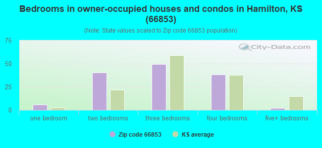 Bedrooms in owner-occupied houses and condos in Hamilton, KS (66853) 