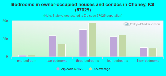 Bedrooms in owner-occupied houses and condos in Cheney, KS (67025) 