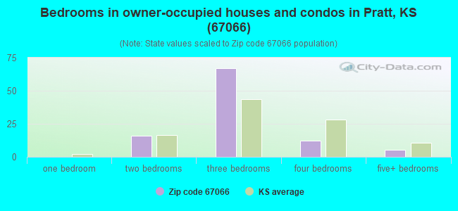 Bedrooms in owner-occupied houses and condos in Pratt, KS (67066) 