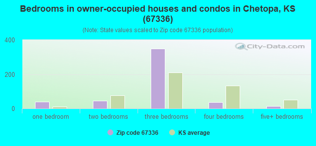 Bedrooms in owner-occupied houses and condos in Chetopa, KS (67336) 