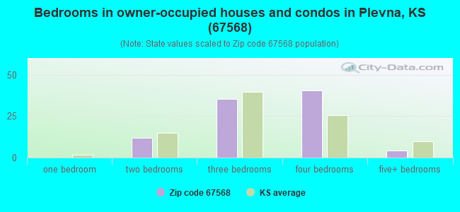 Bedrooms in owner-occupied houses and condos in Plevna, KS (67568) 