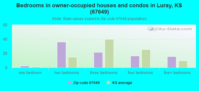 Bedrooms in owner-occupied houses and condos in Luray, KS (67649) 