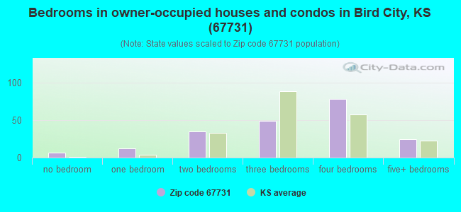 Bedrooms in owner-occupied houses and condos in Bird City, KS (67731) 