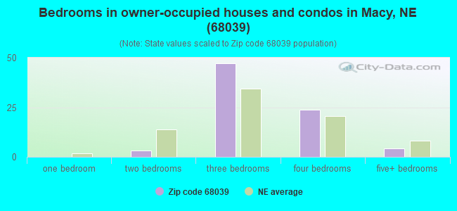 Bedrooms in owner-occupied houses and condos in Macy, NE (68039) 