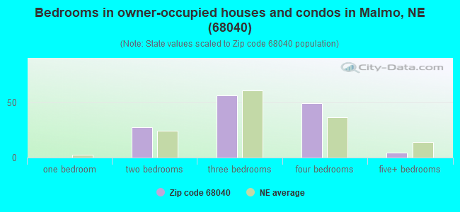 Bedrooms in owner-occupied houses and condos in Malmo, NE (68040) 