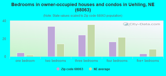 Bedrooms in owner-occupied houses and condos in Uehling, NE (68063) 