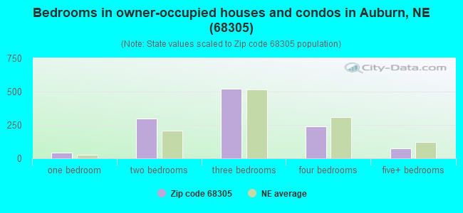Bedrooms in owner-occupied houses and condos in Auburn, NE (68305) 