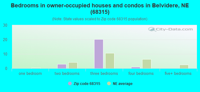 Bedrooms in owner-occupied houses and condos in Belvidere, NE (68315) 
