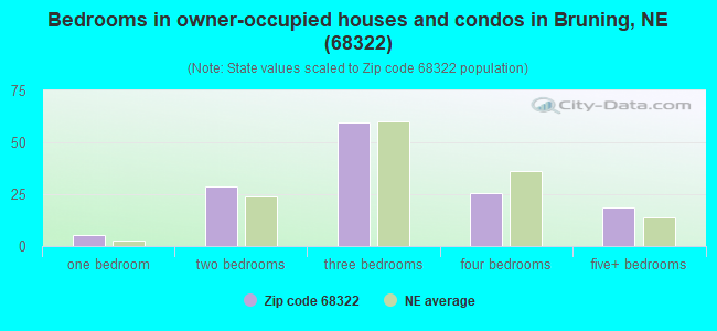 Bedrooms in owner-occupied houses and condos in Bruning, NE (68322) 