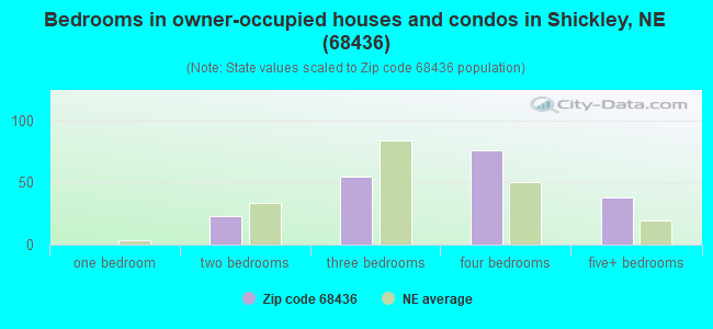 Bedrooms in owner-occupied houses and condos in Shickley, NE (68436) 