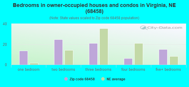 Bedrooms in owner-occupied houses and condos in Virginia, NE (68458) 