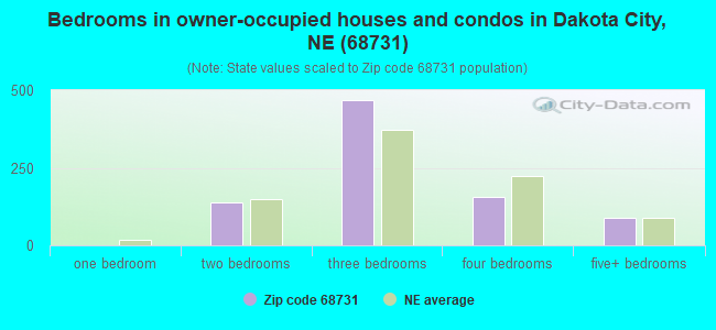 Bedrooms in owner-occupied houses and condos in Dakota City, NE (68731) 