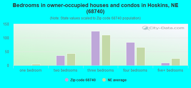 Bedrooms in owner-occupied houses and condos in Hoskins, NE (68740) 