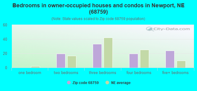 Bedrooms in owner-occupied houses and condos in Newport, NE (68759) 