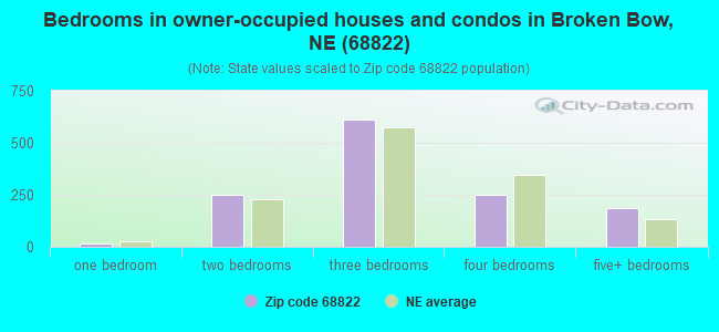 Bedrooms in owner-occupied houses and condos in Broken Bow, NE (68822) 