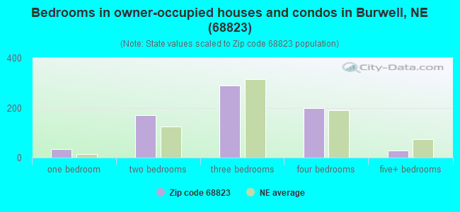 Bedrooms in owner-occupied houses and condos in Burwell, NE (68823) 