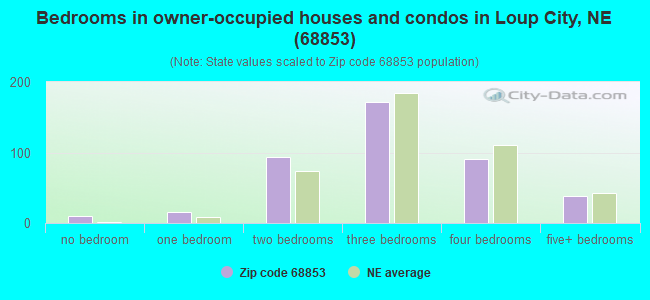 Bedrooms in owner-occupied houses and condos in Loup City, NE (68853) 